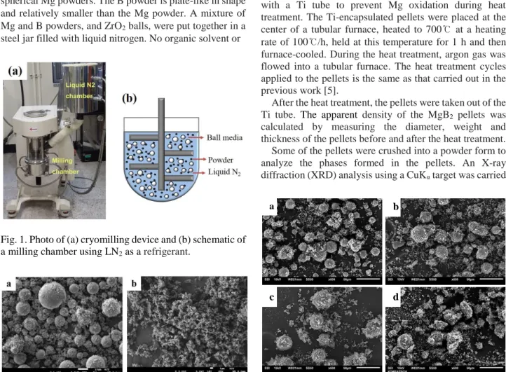 Fig.  2  shows  Mg  and  B  powders  used  as  the  raw  materials of this study. As can be seen in Fig