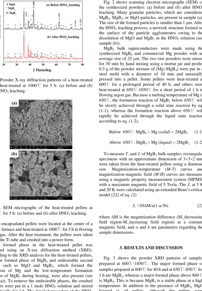 Fig.  2.  SEM  micrographs  of  the  heat-treated  pellets  at  1000℃ for 5 h: (a) before and (b) after HNO 3  leaching