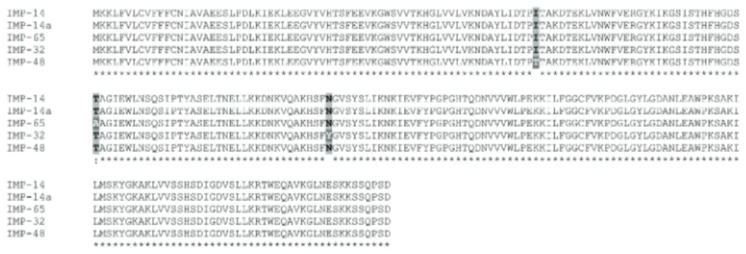Figure 1. Translated protein sequences of IMP-14, IMP-14a, IMP-32, IMP-48 and IMP-65. The difference sequences  were indicated in different colors
