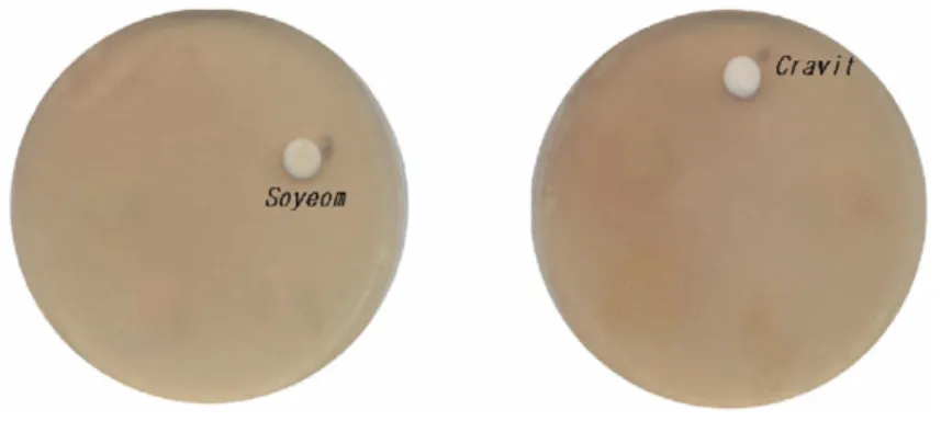 Fig. 6. MIC of Soyeom Pharmacopuncture solution and cravit on Candida albicans. Soyeom Pharmacopuncture solution(3