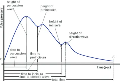 Figure 1. Naming of pulse wave variables.