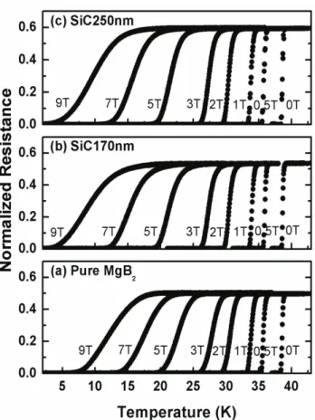 Fig. 1. Plane SEM images of (a) pure MgB 2   and MgB 2