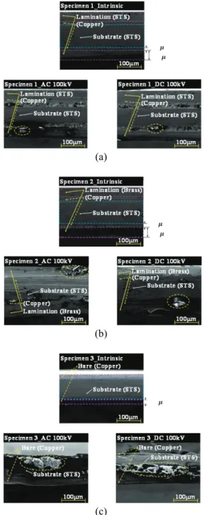 Fig. 6. Corss sectional view of 2G HTS wires  by using  (c)  SEM when AC and DC voltage of 100kV is  applied