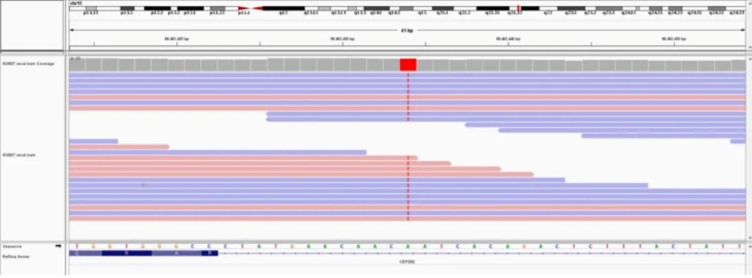 Fig. 3. Identification of a c.6012-12T>A, homozygote mutation in CEP290 (NM_025114.3)