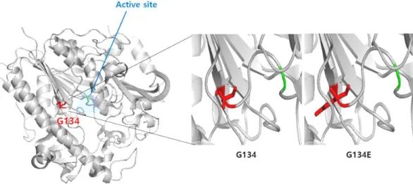 Fig. 3. The 3D structure of IDS containing 134 amino acid residues was determined by X-Ray crystallography at a resolution of 2.0 (PDB ID:5FQL)