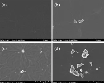 Fig. 3. Surface morphology of coated PDMS layer coated  with micro SiO 2  powder added precursor solution (a)pure  PDMS (b)5 % micro-SiO 2   (c)10 % micro-SiO 2   (d)15 %  micro-SiO 2 