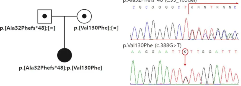 Fig. 3. The molecular genetic study revealed two novel heterozygous mutations (p.Ala32Phefs