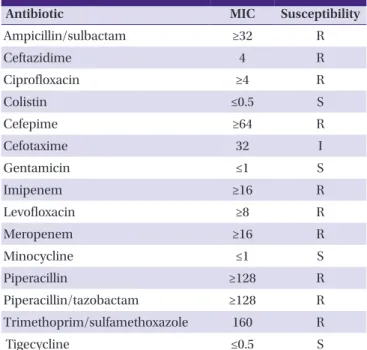 Table 1. The antibiotic susceptibility of the  Acinetobacter baumannii isolate