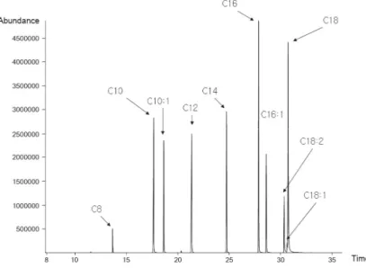 Fig. 1. GC-MS chromatograms of standard free fatty acids (C8-C18:1) fol- fol-lowing TBDMS derivatives.