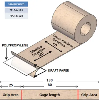 Fig. 1. PPLP samples and specimen dimensions. 