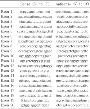 Table 1. Sequences of Primers using PCR Reaction Sense (5 -to-3 )’’ Antisense (5 -to-3 )’’ Exon 1 Exon 2 Exon 3 Exon 4 Exon 5 Exon 6 Exon 7 Exon 8 Exon 9 Exon 10 Exon 11 Exon 12 Exon 13 Exon 14 Exon 15 Exon 16 Exon 17 Exon 18 Exon 19 Exon 20 ctggggagctccac