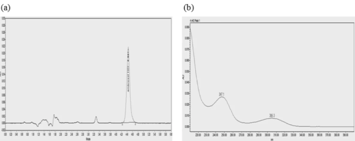 Fig. 5 − Calibration curve of HPLC assay for ambroxol hydrochloride syrup and tablets.