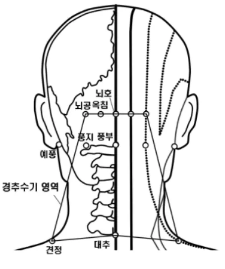 Fig.  1.  Region  of  Cervical  Su-Gi(3)  휘담식  수기요법17)휘담식  수기요법이란  의사의  손에서  발출되는  氣와  의념을  통해  환자의  병적인  체액  덩어리인  積聚를  풀어서  正氣化함으로써  인체의 경혈과  경락,  경근,  골격의  소통을  원활케  하고,  바로  잡아  인체의  음양을  조화롭고  균형 잡히게  하는  손을  사용한  조기요법(調氣療法)이다18)