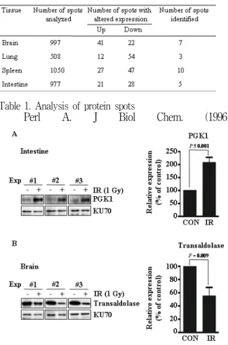 Figure  2.  Expression  of  PGK1  and  TA1  in  various  tissues  exposed  to  IR