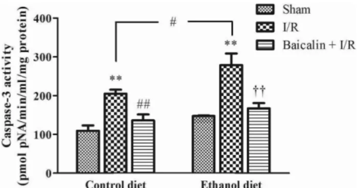 Fig. 2 − Effect of baicalin on hepatic caspase-3 activity after I/R in alcoholic fatty liver