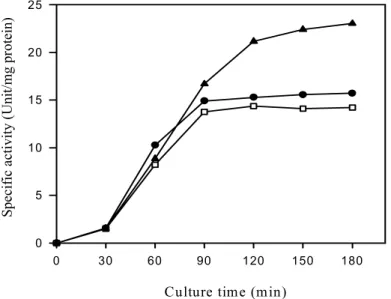 Fig. 5. Effects of cAMP on the catabolite repression of invertase in  Bacillus cereus  TA-11.