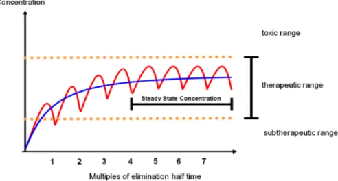 Fig. 2. Schematic diagram of attaining steady state concentration of a certain drug. The time required to reach steady state is approximately 4-5 half-lives