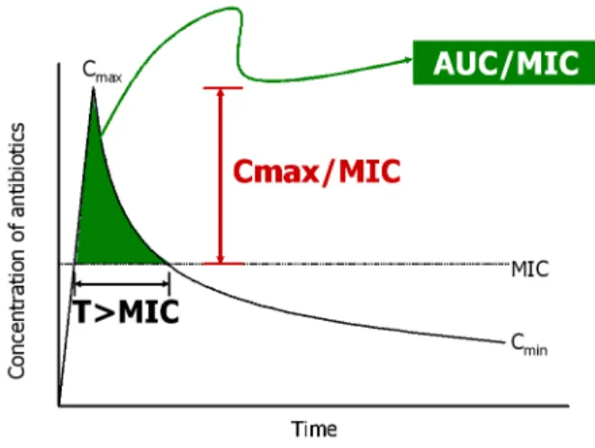 Fig. 1. Schematic presentation of pharmacokinetic/pharmaco- pharmacokinetic/pharmaco-dynamic indices in antibiotics: Cmax, peak concentration; Cmin, trough concentration; MIC, minimum inhibitory concentration;