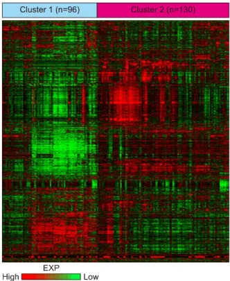 Fig.  1.  Unsupervised  clustering  of  multifocal  papillary  thyroid  carcinomas  (PTCs)  revealing  two  distinct  molecular subtypes