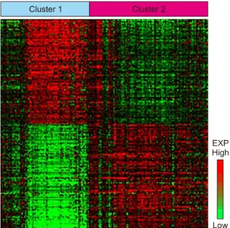 Fig.  3.  Each  cluster-specific  gene  expression  patterns  shown  in  heatmap.  Data  given  in  the  matrix  represent  the expression  level  of  a  gene  feature  in  an  individual  patient.