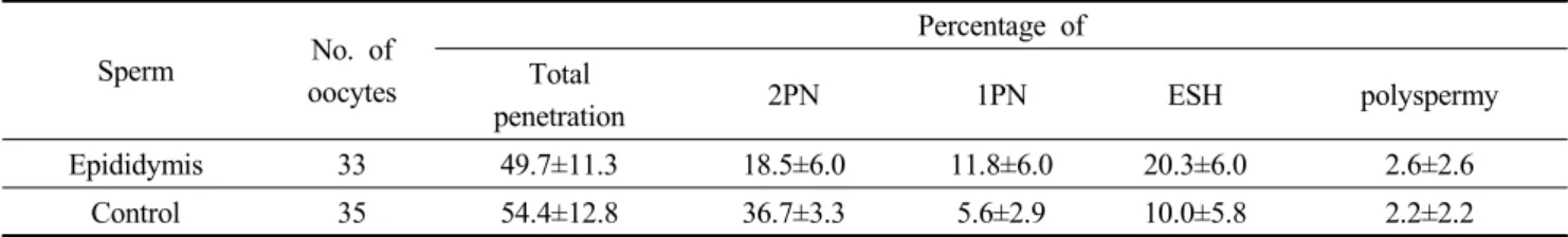 Table  1.  Penetration  rate  of  frozen-thawed  sperm  derived  from  cauda  epididymis  at  12h  after  IVF