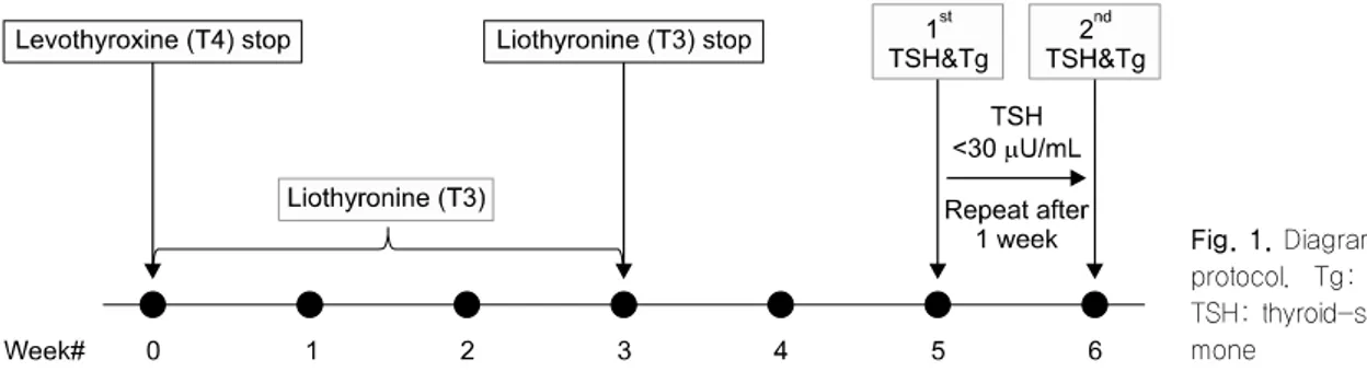 Fig. 1. Diagram of the study  protocol.  Tg:  thyroglobulin,  TSH: thyroid-stimulating  hor-mone