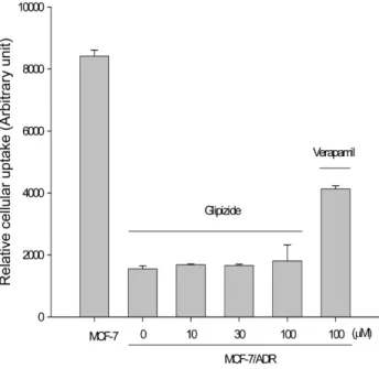 Fig. 2 − Effect of glipizide on the cellular accumulation of rhodamine- rhodamine-123 in MCF-7 and MCF-7/ADR cells