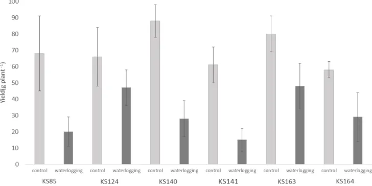 Fig.  1.  Effect  of  waterlogging  on  ear  yield  of  maize  inbred  lines.  Vertical  bars  indicate  ±  Standard  Deviation(S.D.,  n =6).