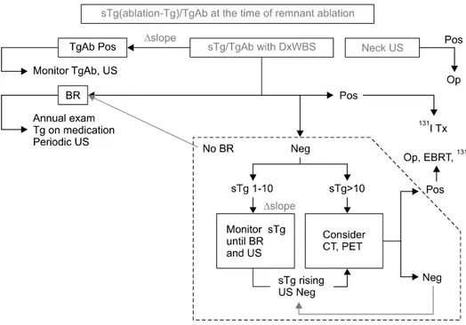 Fig.  1.  Current  AMC  strategy  for  management  of  DTC  6-12  months  after  remnant  ablation.