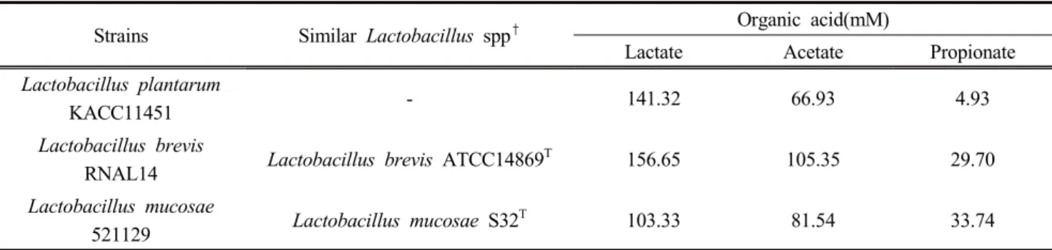 Table  2.  Similarity  of  bacteria  strains  isolated  from  rumen  fluid  of  native  Korean  goats  or  feces  of  native  Korean  cattle with  Lactobacillus   spp
