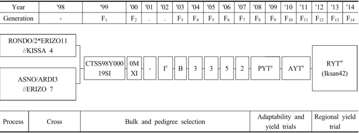 Fig.  1.  Pedigree  diagram  of  a  cultivar,  ‘Choyoung’.