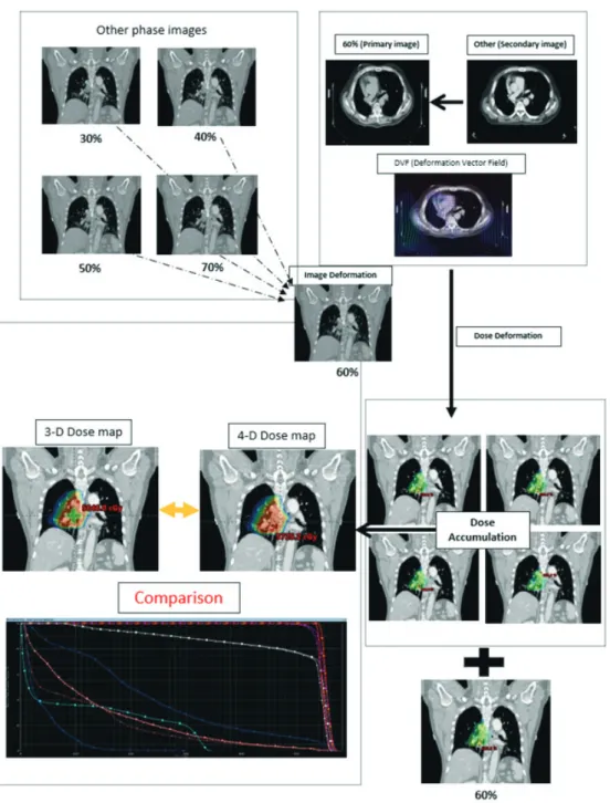 Fig. 2. Procedure of 4D Dose Accumulation