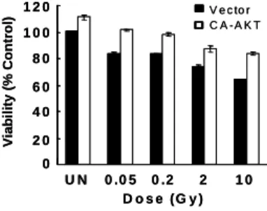 fig  1.    Effect  of  AKT  activation  on  radiation-induced  cell  death.  