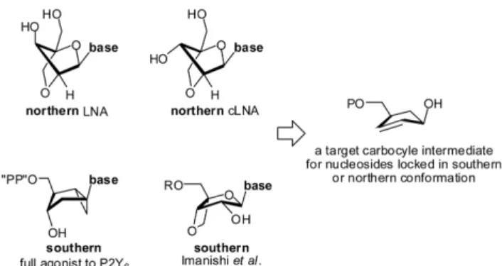 Fig. 1 − Crucial intermediates for synthesis of conformationally locked nucleosides.