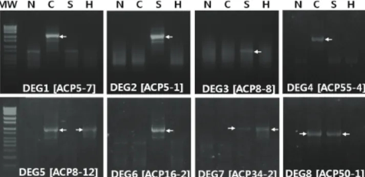 Table  1,  Fig.  1).  The  α-Gals  are  member  of  the  glycoside  hydrolase  family,  which  have  pivotal  role  in  leaf  elongation  during  plant  development  (Chrost  et  al.,  2007)