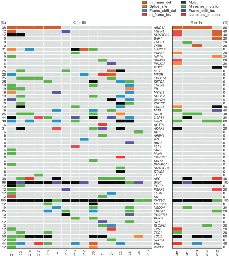 Fig. 1. Comparison of the mutation of 88 genes in the custom gene panel between clear cell renal cell carcinoma with cystic change (MCRCC) and multi- multi-locular cystic renal neoplasm of low malignant potential (MCRNLMP) tissue samples after passing qual