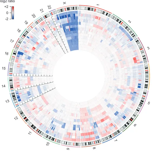 Fig. 1. Genomic alterations detected in 14 patients with advanced  prostate cancer by use of the Oncomine Comprehensive Panel.