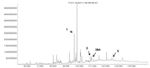 Fig. 1A − Total ion chromatogram of postmortem whole blood by GC-MS (case No 22114) (peak 1, tramadol; peak 2, amitriptyline; peak 3, nortriptyline, peak 4, internal standard; peak 5, oxycodone).