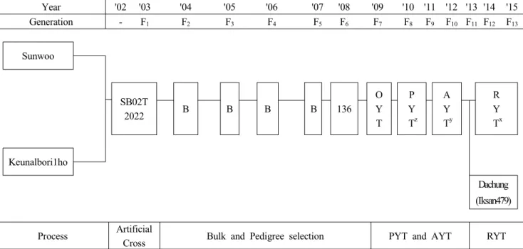 Fig.  1.  Pedigree  diagram  of  ‘Dachung’.