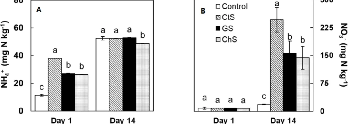 Fig.  4.  Changes  in  amount  of  ammonium-N  (NH 4 +
