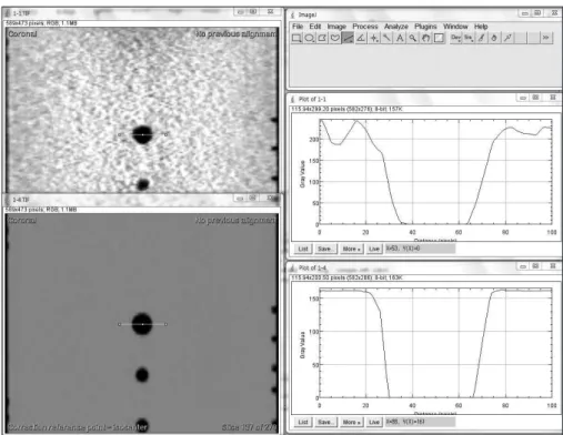Fig. 5. Verify Pixel per Gray value  with ImageJ 
