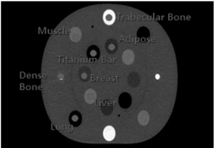 Fig. 4. Tissue Equivalent Material image(CIRS Phantom) Fig. 6. Rando Phantom Artifact Image
