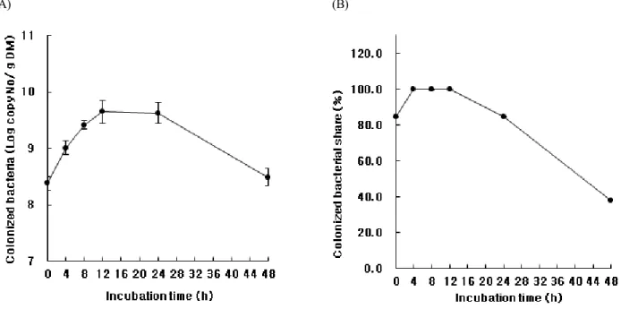 Fig. 4. The populations colonized on rice straw(A) and its share(B) by R. flavefaciens during the in vitro rumen incubation.