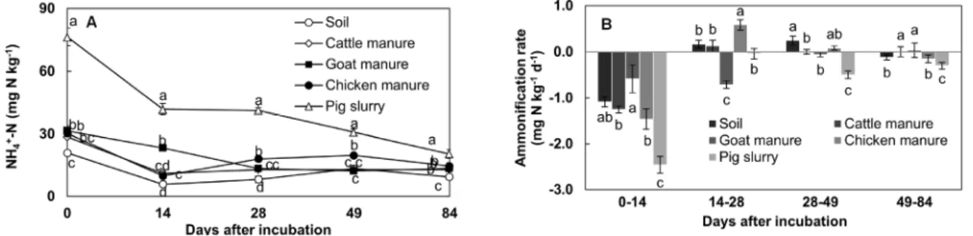 Fig. 1. Changes in amount of ammonium-N (NH 4 +