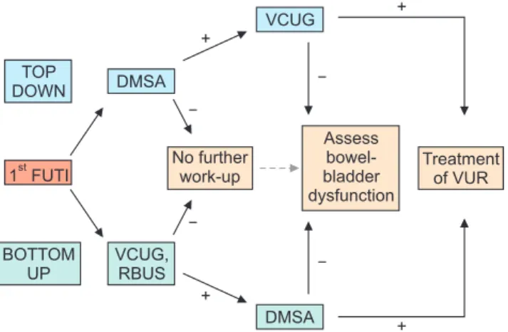 Fig. 1. Graphical representation of the top-down versus bottom-up  approach to the work-up of a febrile urinary tract infection (FUTI)