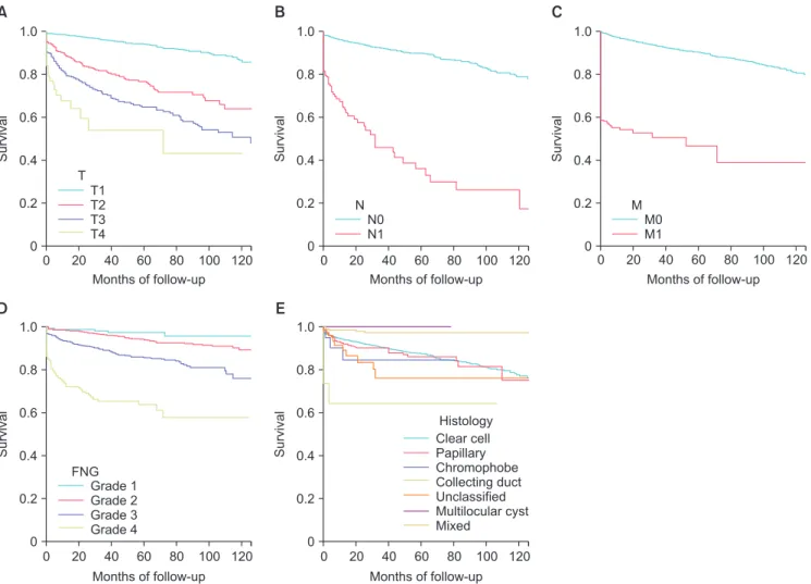 Fig. 2. Kaplan-Meier curves of recurrence free survival according to pathologic T stage (A), N stage (B), M stage (C), Fuhrman nuclear grade (D), and histo- histo-logic type (E).