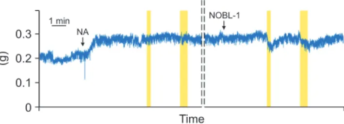 Fig. 2. Evaluation system. (A) This work  was performed in a dark room. White  arrows represent the light source