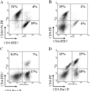Fig. 1 − The phenotypic characterization of the activated NK cells, which was used in nude mouse xenograft assay