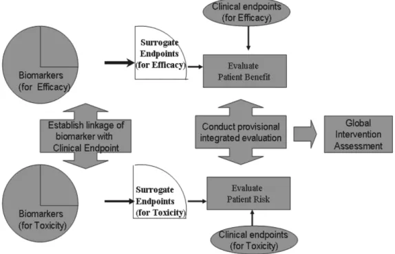Fig. 1 − Relationship of biomarkers and surrogate endpoints and conceptual model for therapeutic intervention (BDWG)