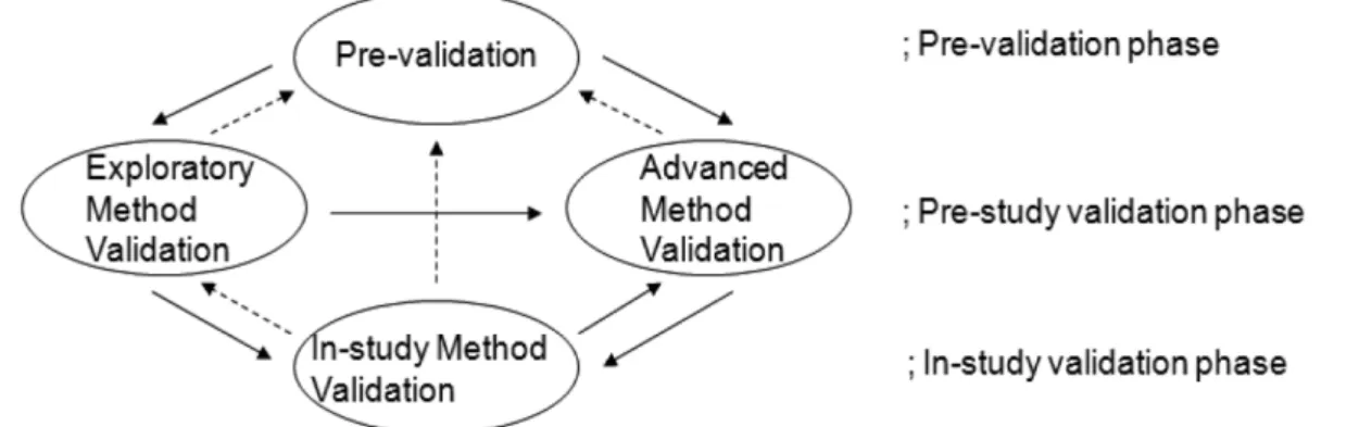 Fig. 3 − Research sequence of fit-for-purpose validation. 12)